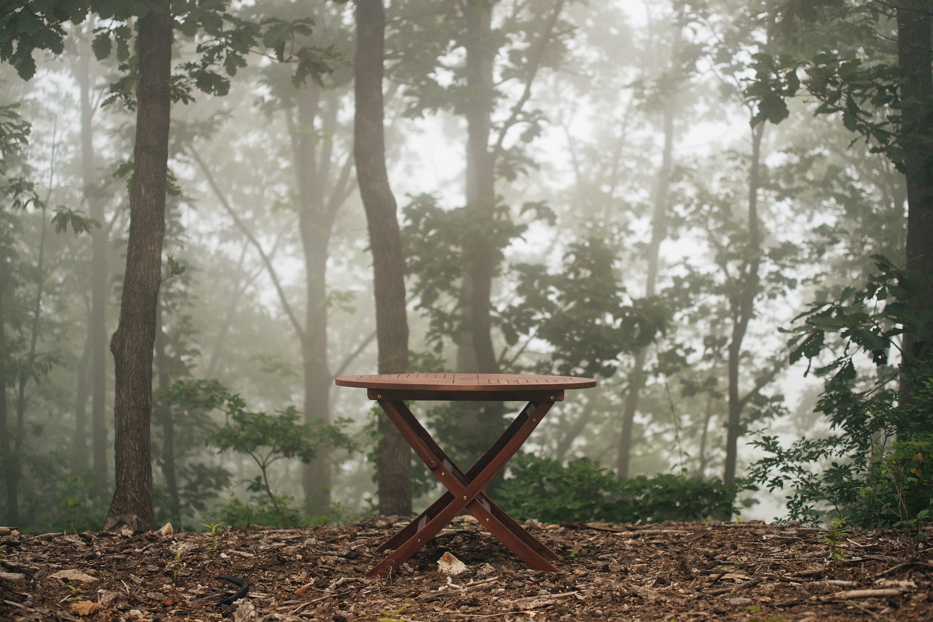 Table in Forest